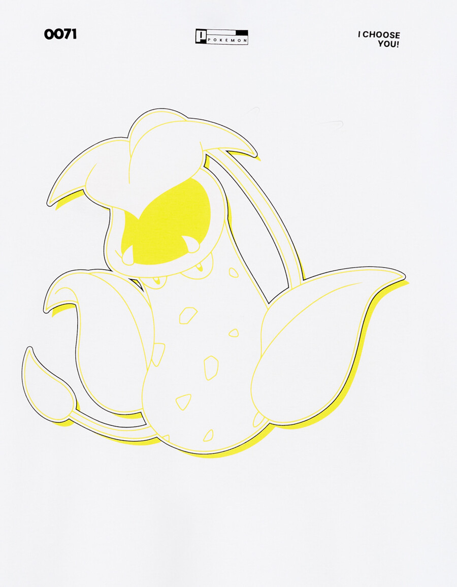 pokémon