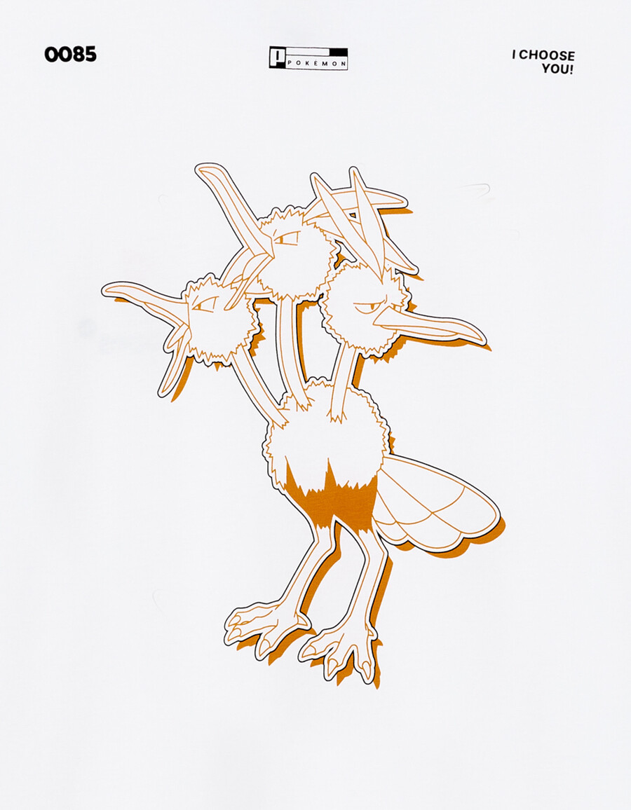 pokémon
